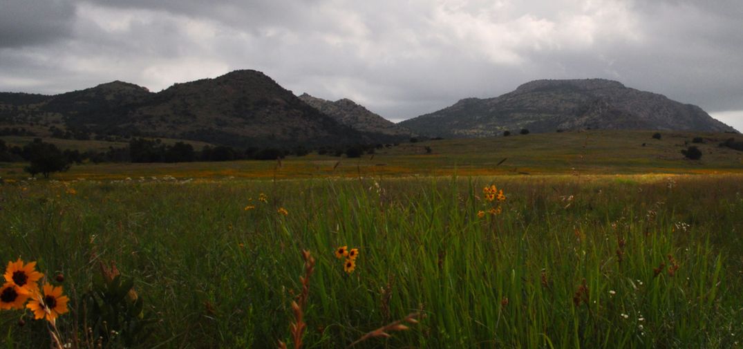 Mount Scott at Wichita Mountains Wildlife Refuge - Kim Isaac, Zen Sunrise Photography